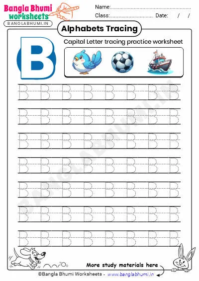 Free Capital Letter B Tracing Worksheet