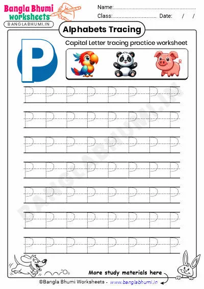 Free Capital Letter P Tracing Worksheet