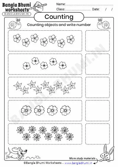 Free Count Objects and Write Numbers Worksheet