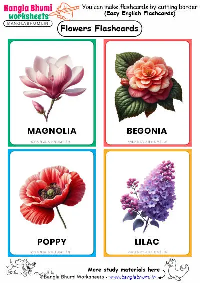 Free 40+ Flowers Flashcards Download