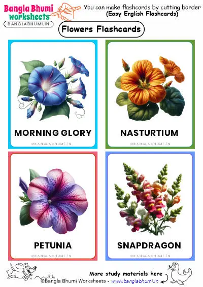 Best 40+ Flowers Flashcards PDF