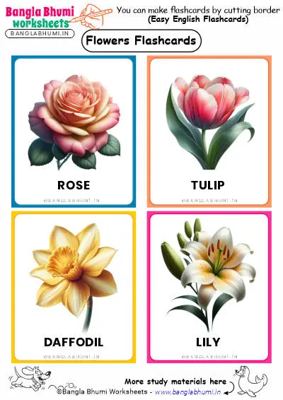 40+ Flowers Flashcards PDF Download