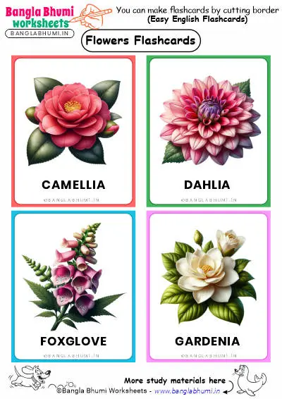 Best 40+ Flowers Flashcards PDF Download