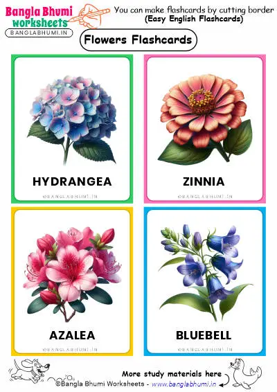 Free 40+ Flowers Flashcards PDF