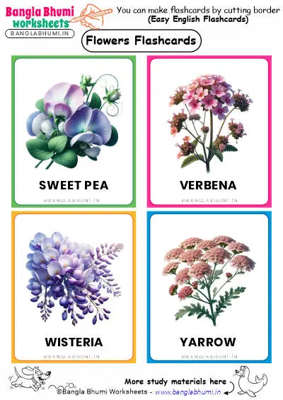 Top 40+ Flowers Flashcards PDF Download