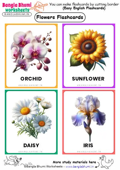 Free English Flowers Flashcards PDF Download