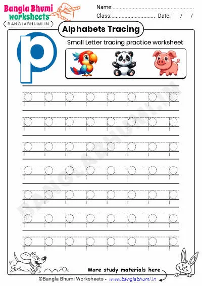 Free Small Letter p Tracing Worksheet