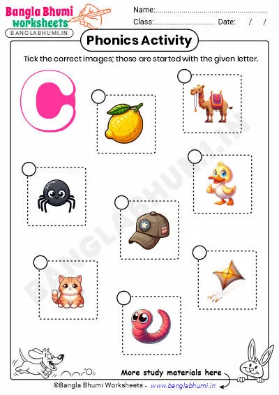 Tick the Correct Images of Alphabet C Worksheet