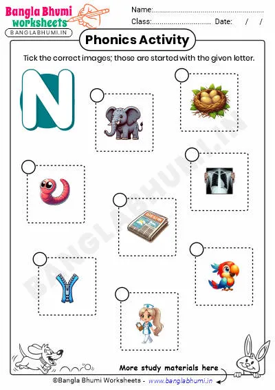 Tick the Correct Images of Alphabet N Worksheet