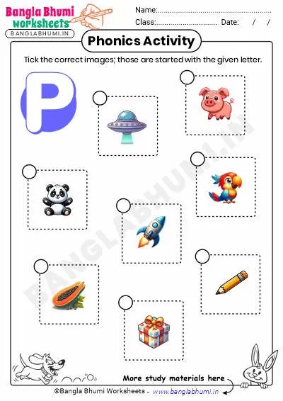 Tick the Correct Images of Alphabet P Worksheet