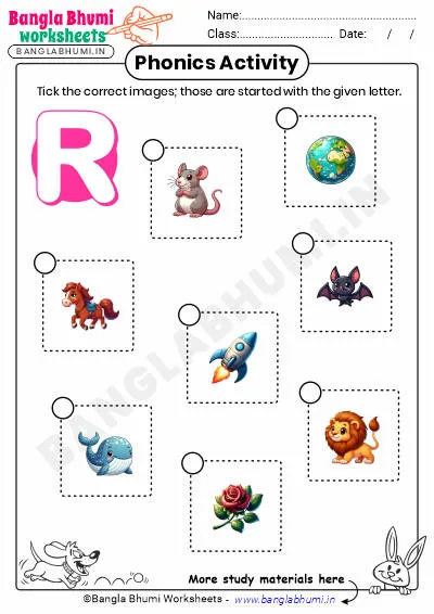 Tick the Correct Images of Alphabet R Worksheet