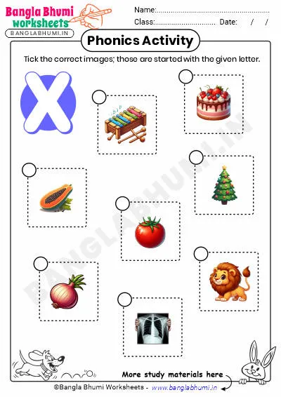 Tick the Correct Images of Alphabet X Worksheet