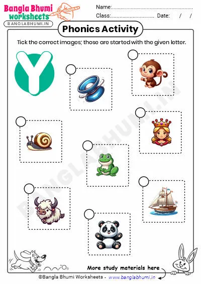 Tick the Correct Images of Alphabet Y Worksheet