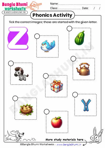 Tick the Correct Images of Alphabet Z Worksheet