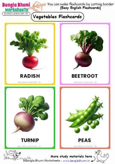 Free 44+ Vegetables Flashcards PDF